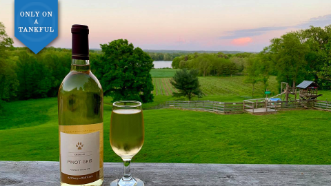 Adventure Awaits When You Embark On This Northern Ohio Winery And Waterfall Day Trip