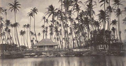 Here Are The Oldest Photos Ever Taken In Hawaii And They're Incredible