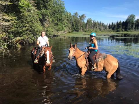 Visit Wildcat Lake By Horseback On This Unique Tour In Wisconsin