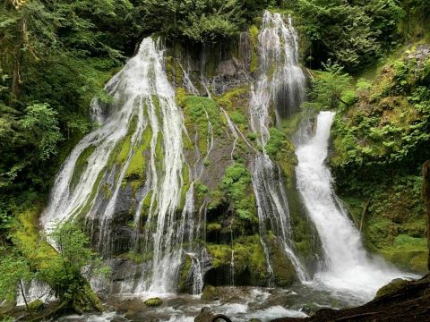 Cool Off This Summer With A Visit To These 5 Washington Waterfalls