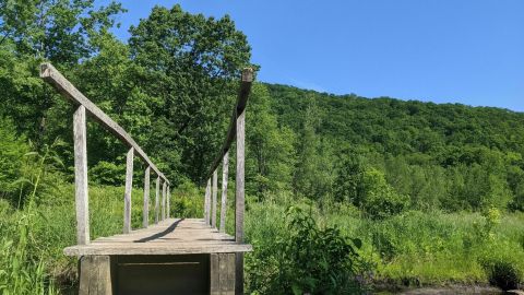 Explore A New Side Of The Litchfield Hills With Meeker Trail, A Scenic Mountain Lake Trail In Connecticut