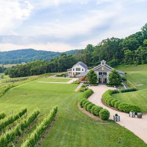 With Wildflower Meadows And Mountain Views, Pippin Hill Might Just Be The Most Beautiful Winery In Virginia