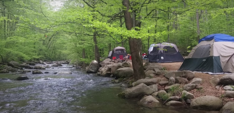 Virginia's Best-Kept Camping Secret Is This Riverfront Spot With Just 30 Glorious Campsites