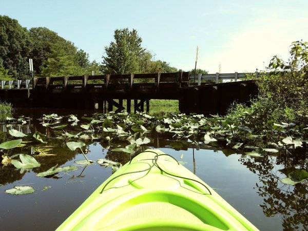 Tuckahoe State Park Offers Some Of The Best Kayaking In Maryland