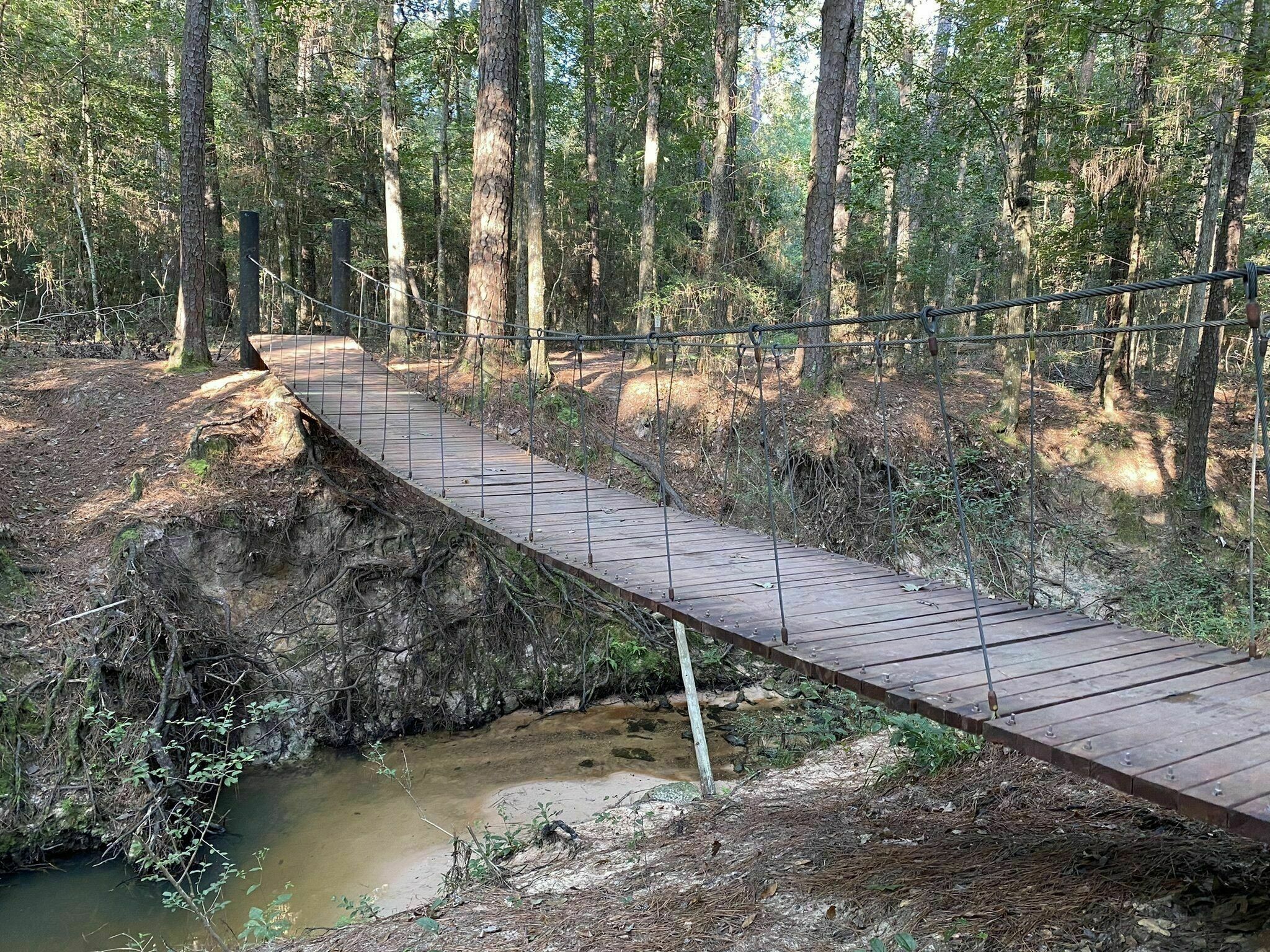 Walk Across A Suspension Bridge On This Easy Hike In Texas