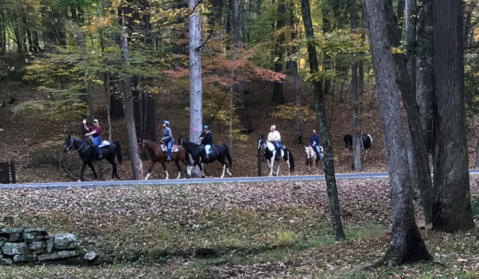 Take A Fall Foliage Trail Ride On Horseback At Hidden Trails Stables In West Virginia