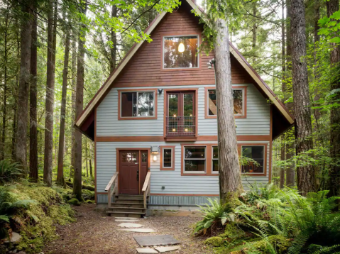 Relax At This Cozy Treetop Cabin With A Hot Tub Right Here In Washington