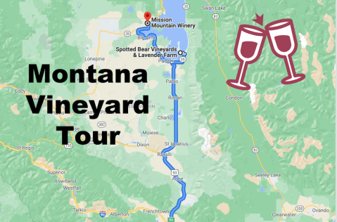 Road Trip To 3 Different Vineyards On This Montana Wine Tour