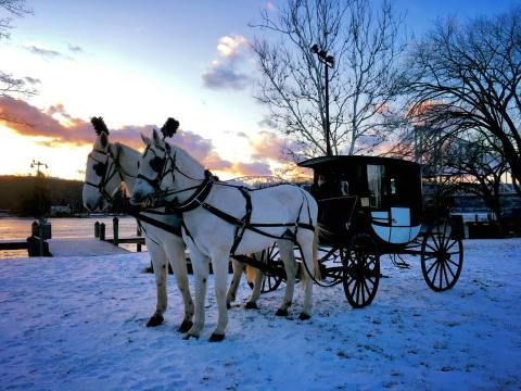 Ride Through Connecticut's Wintery Landscape In A Cozy Sleigh At Allegra Farm