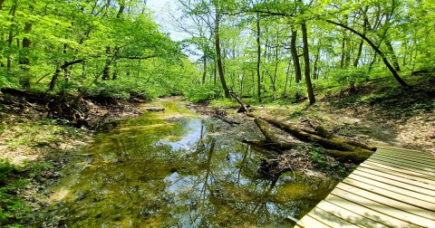 With Stream Crossings and Footbridges, The Little-Known Running Deer Trail In Illinois Is Unexpectedly Magical