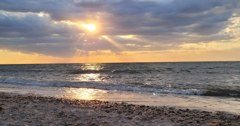 10 Pristine Hidden Beaches Throughout Ohio You've Got To Visit This Summer