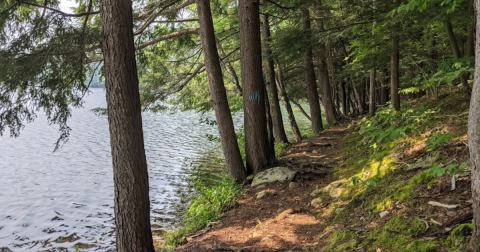7 Pristine Hidden Beaches Throughout Vermont You've Got To Visit This Summer