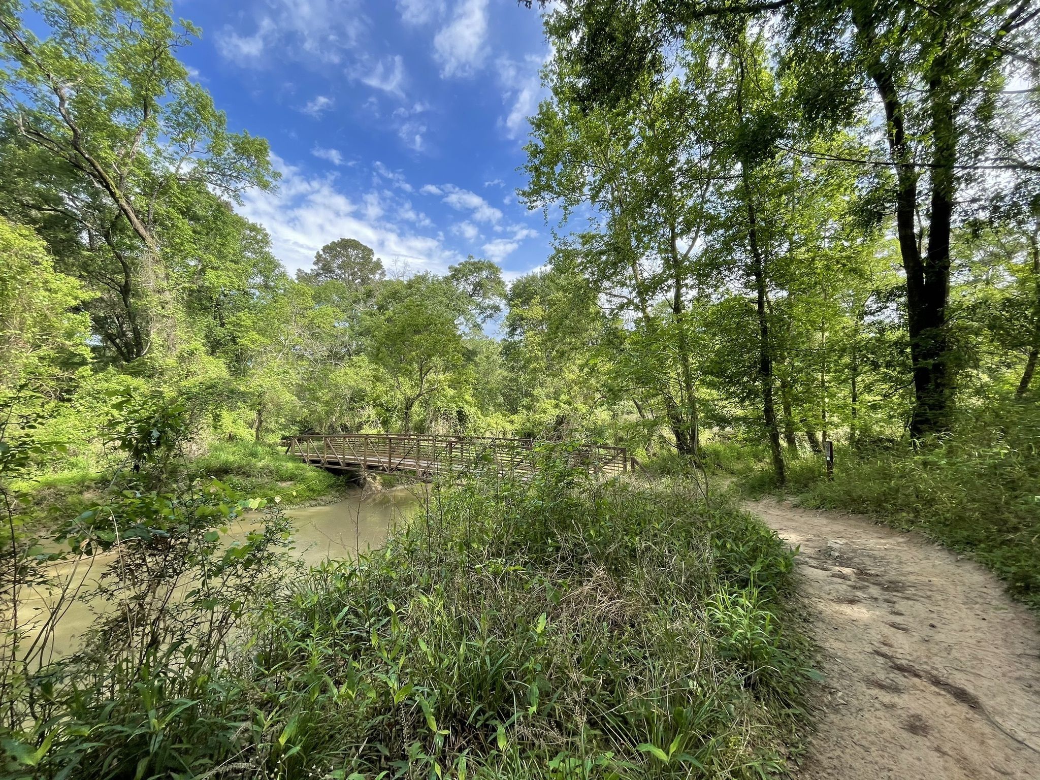 Best Hikes In Texas: Spring Creek Nature Trail