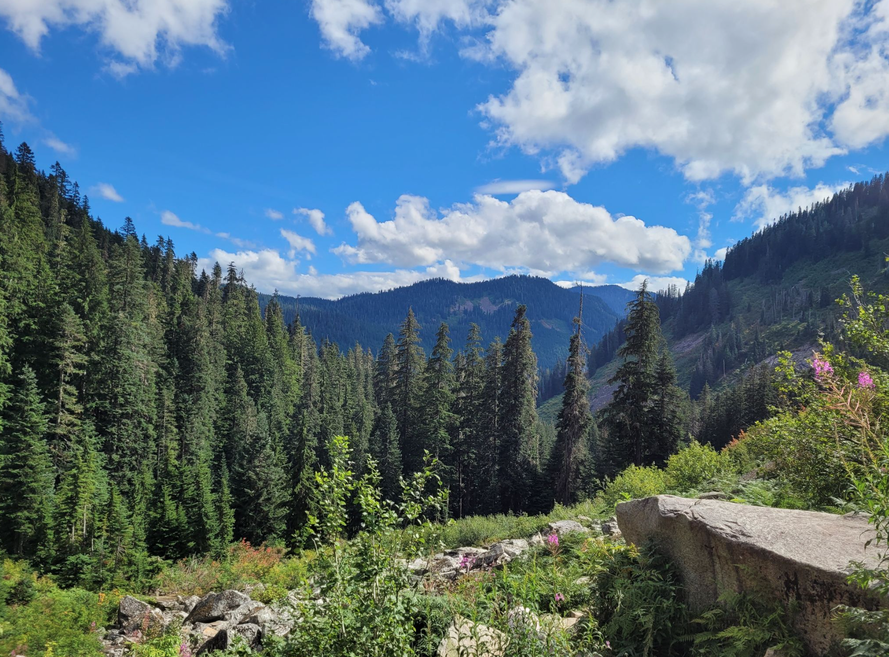 Hansen Creek for Beginners - Currently Rockhounding