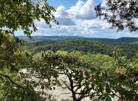 Indian Point Trail Is A Gorgeous Forest Trail In Illinois That Will Take You To A Hidden Overlook