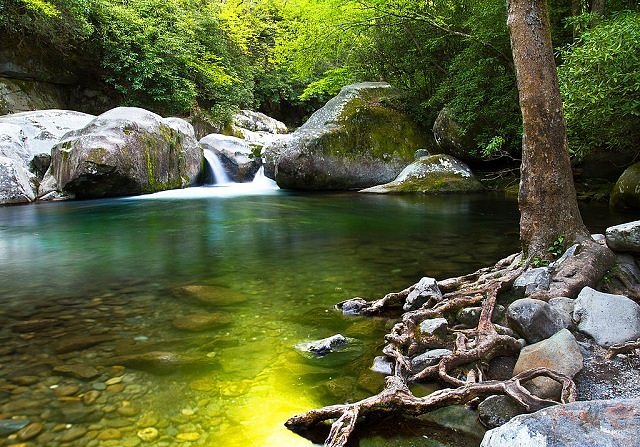 You’ll Want To Spend The Entire Day At The Gorgeous Natural Pool In North Carolina’s Big Creek Area