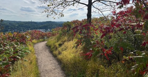 This Year, Take These 12 Incredible Minnesota Hikes, One For Each Month Of The Year