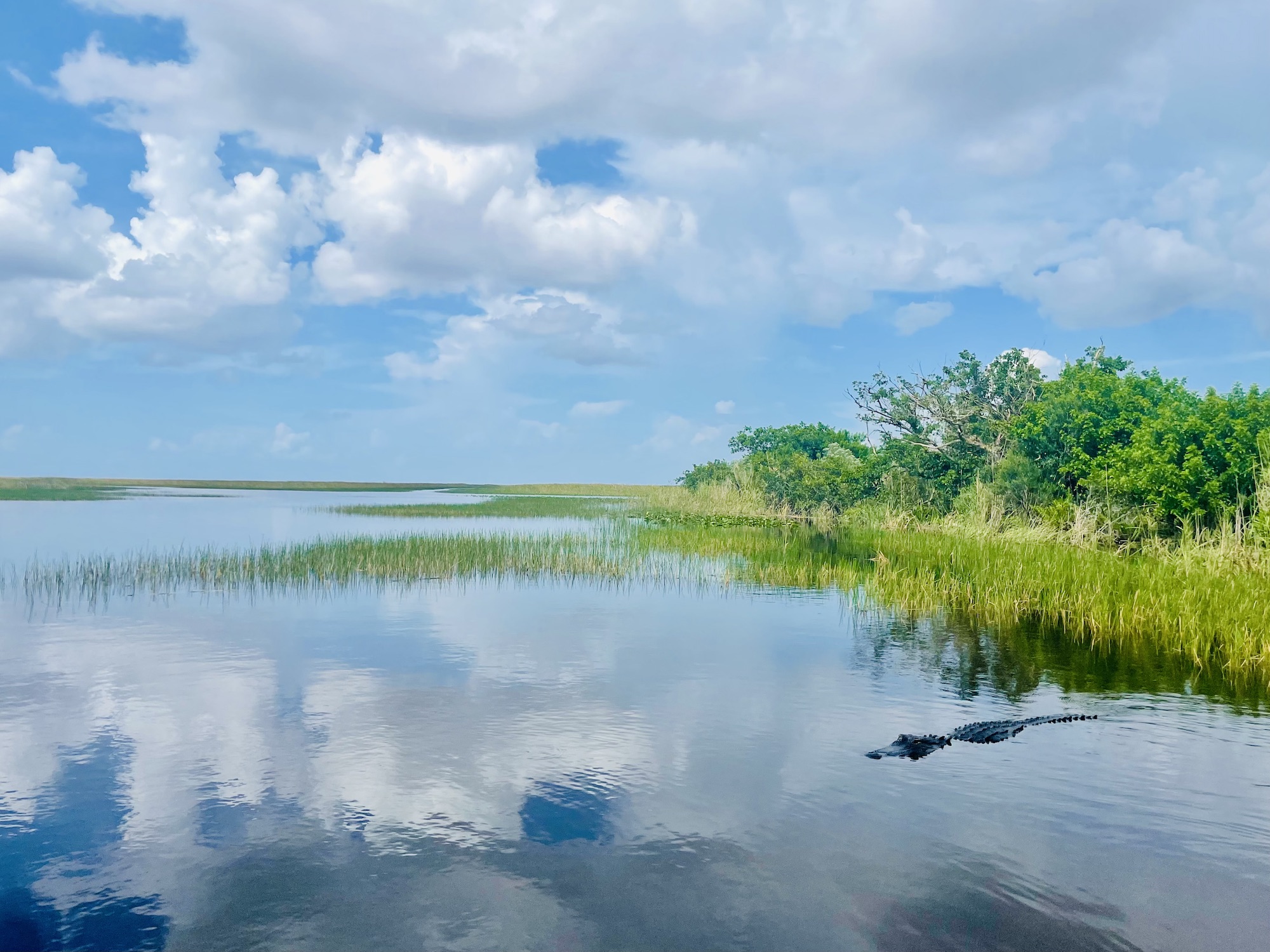 Sawgrass Recreation Park  Complete Guide To Everglades Fishing In