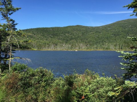 The Little-Known Swimming Hole In New Hampshire That Locals Want To Keep Secret 