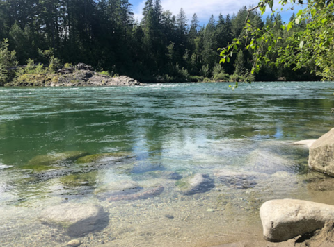 This Popular Swimming Hole In Washington Will Make You Feel Like A Kid On Summer Vacation