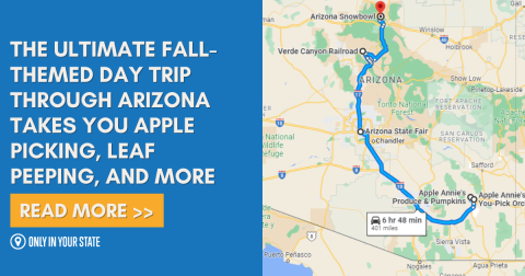 The Ultimate Fall-Themed Day Trip Through Arizona Takes You Apple Picking, Leaf Peeping, And More