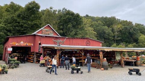 Pick Your Own Pumpkins At This Charming Farm Hiding In Tennessee