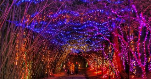 Have An Unforgettable Christmas Experience With A Visit To These 10 Festive Places In Alabama