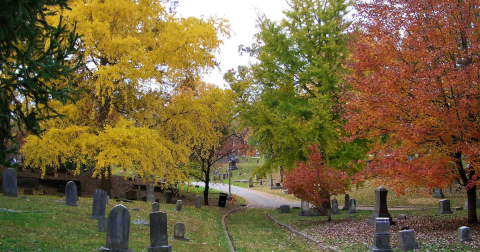 One Of The Most Haunted Cemeteries In Tennessee Is Also The Most Beautiful