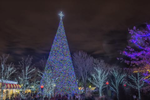 Delight In A 100-Foot Christmas Tree During This Epic Holiday Festival At A Beloved Pennsylvania Amusement Park