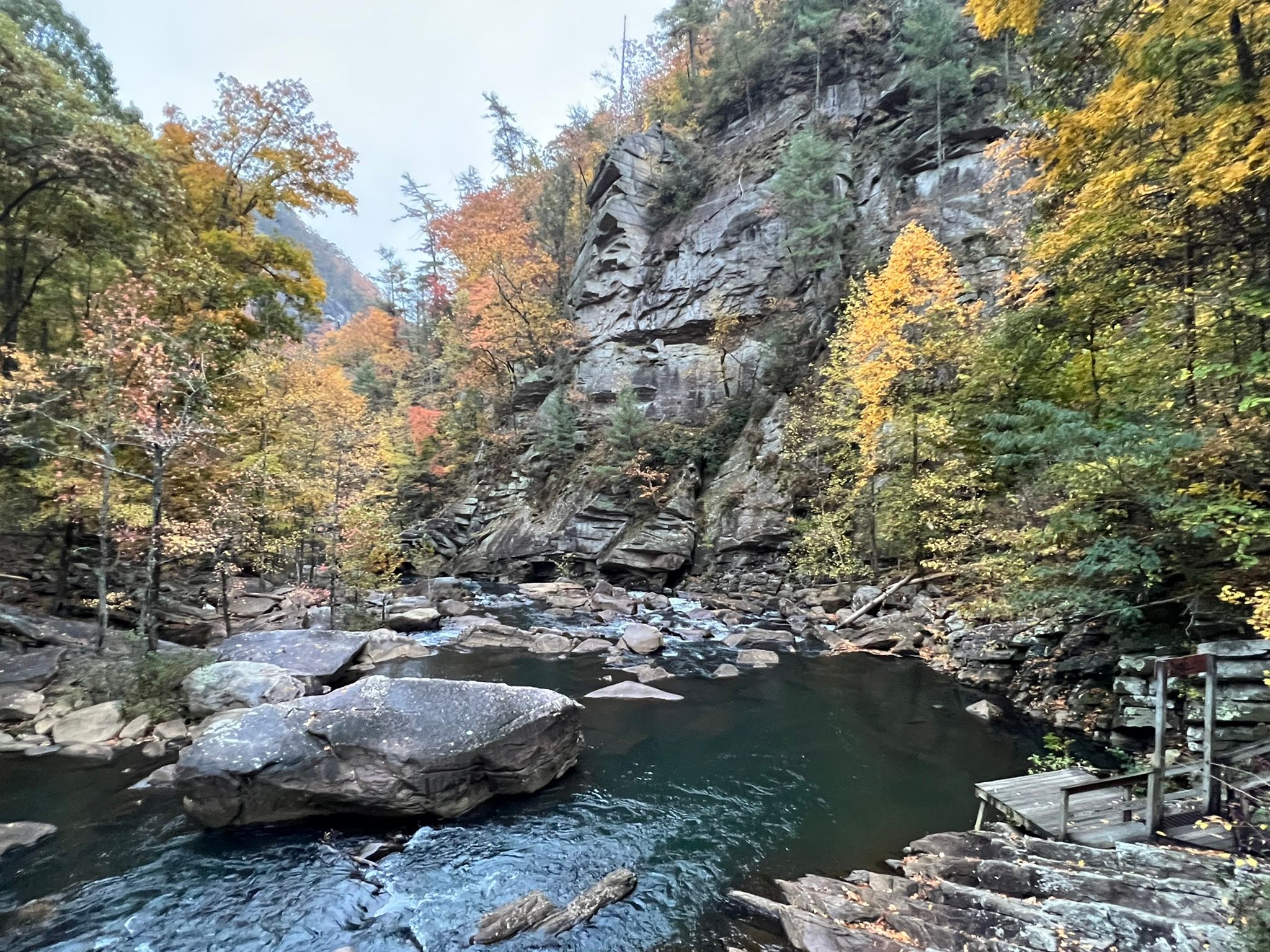 are dogs allowed at tallulah gorge