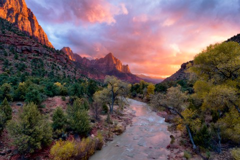 The Ultimate Guide To Utah's Zion National Park
