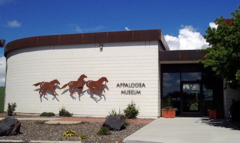 Most Idahoans Have Never Heard Of This Fascinating Appaloosa Museum