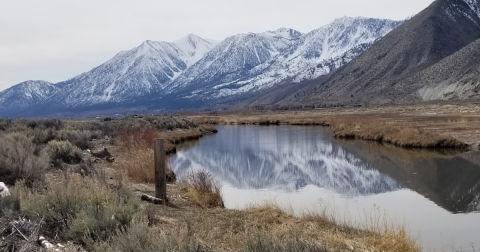 The Small Town In Nevada That Comes Alive During The Winter Season