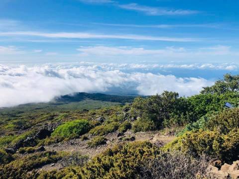 Explore The Best Of Upcountry Maui On This Hawaii Day Trip That Leads To A National Park, Farms, And A Winery