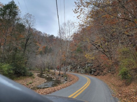 This Scenic Drive Runs Straight Through West Virginia's Panther State Forest, And It's A Breathtaking Journey