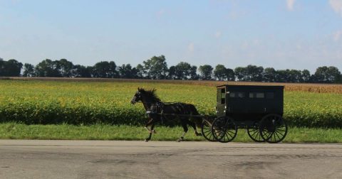 This Enchanting And Historic Town In Illinois Is The Perfect Day Trip Destination