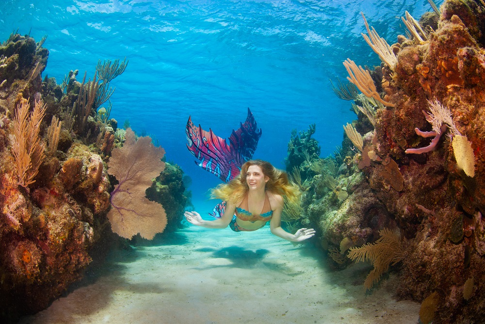 See Mermaids In Connecticut At The Mystic Aquarium