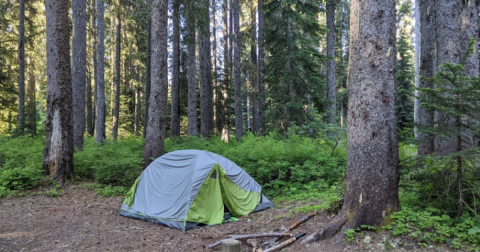 Primitive Camping In Idaho: 7 Best Dispersed Campgrounds