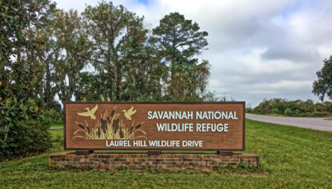 Straddling The South Carolina-Georgia Border, The Savannah National Wildlife Refuge Is One Of The Most Unique Places You'll Ever Visit