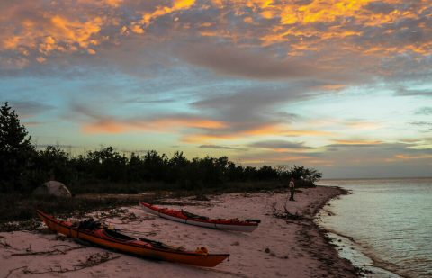 Paddle Through The Largest Tropical Wilderness In The U.S., The Everglades In Florida