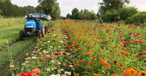 A Colorful U-Pick Flower Farm, GardenView Flower Farm In Ohio Is Like Something From A Dream