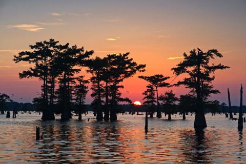 Take A Sunset Boat Ride Through The Atchafalaya For A One-Of-A-Kind Moonlit Adventure