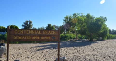 The One Pristine Inland Beach In Arizona That Will Make You Swear You're On The Coast