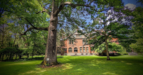 Walk Among Massive Trees In Spiegel Grove On The Mystic Giants Tree Tour In Ohio