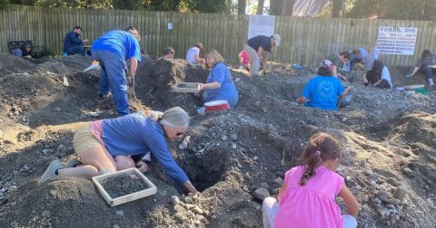 Immerse Yourself In North Carolina's Amazing Geological History At FossilFest 2024