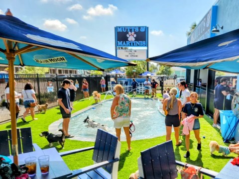 The Dog-Friendly Sports Bar In Florida That Just Might Be Your New Favorite Hangout