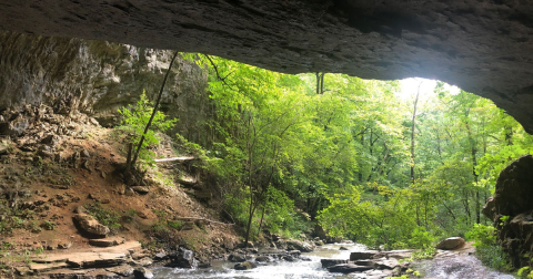 Hike To This Cave In Tennessee For An Out-Of-This-World Experience