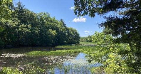 The Rhode Island Trail With A Meadow, A Footbridge, And A Lake You Just Can't Beat