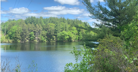 Walk Alongside The Water On The 2.5-Mile Wolcott Trail In Connecticut