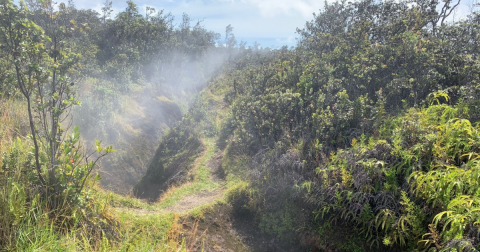 The Hawaii Trail With A Boardwalk, Steam Vent, And Sulfur Bank You Just Can't Beat